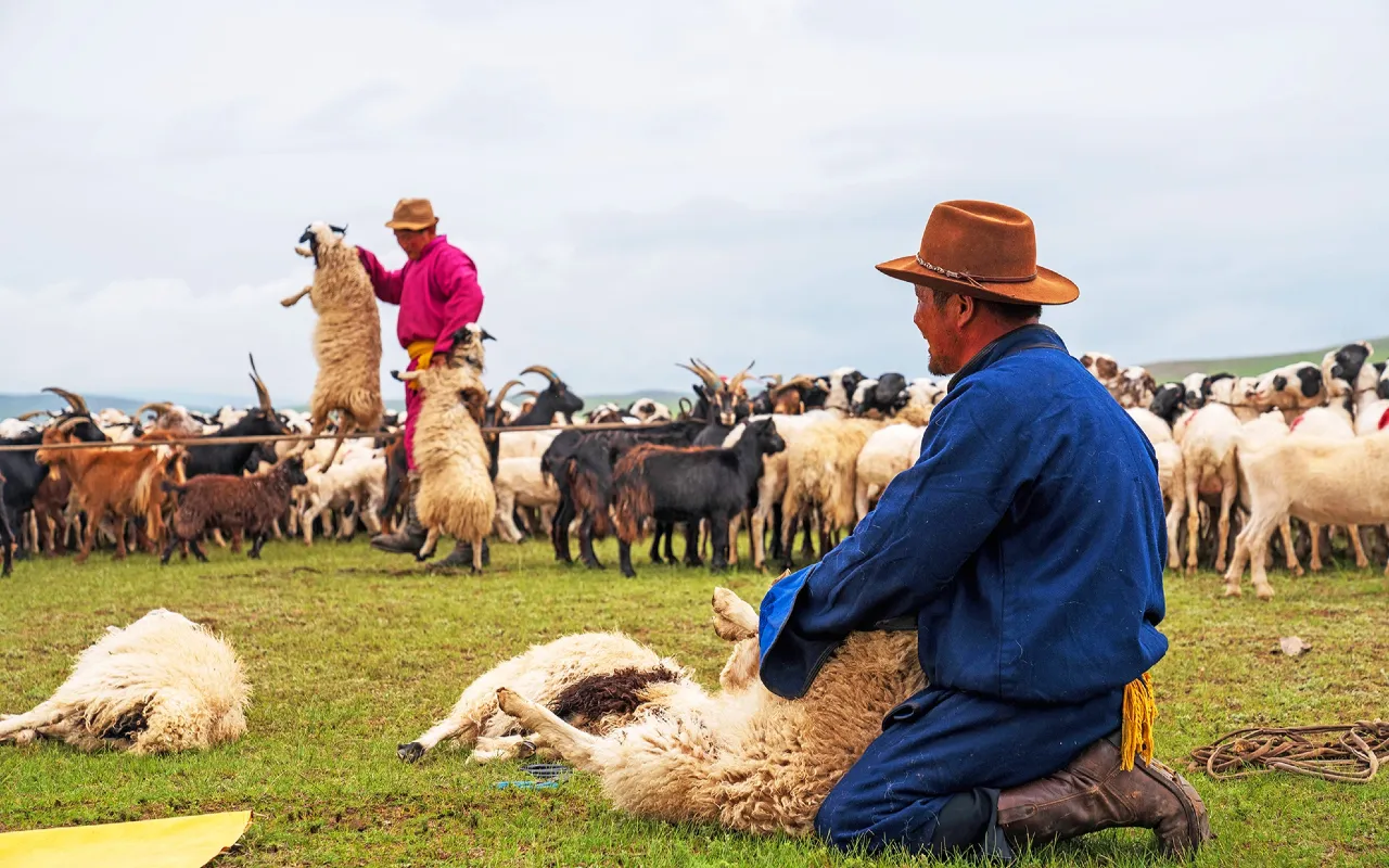 About nomadic culture & nomads | Premium Travel Mongolia
