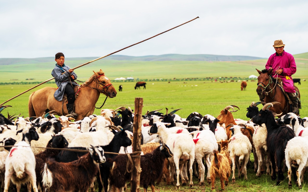  | Premium Travel Mongolia