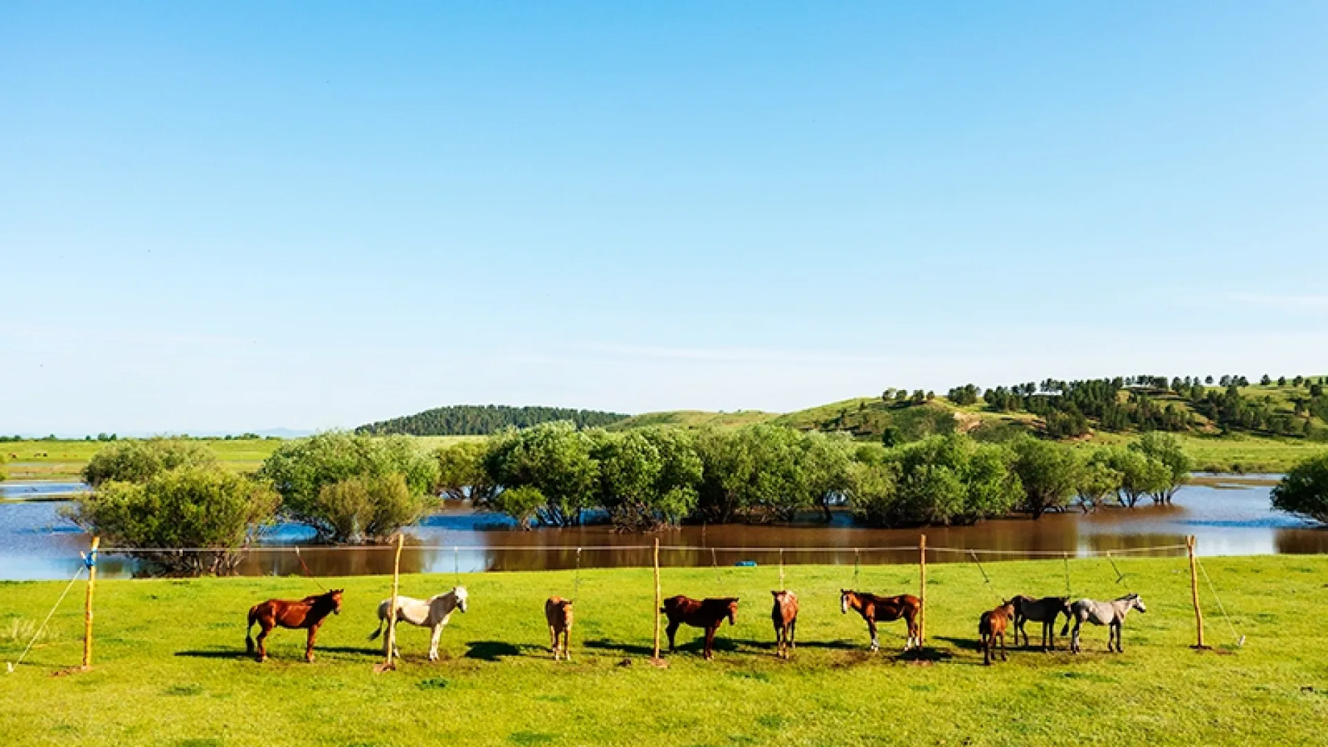 UNIQUE TRAVEL EXPERIENCES IN MONGOLIA | Premium Travel Mongolia
