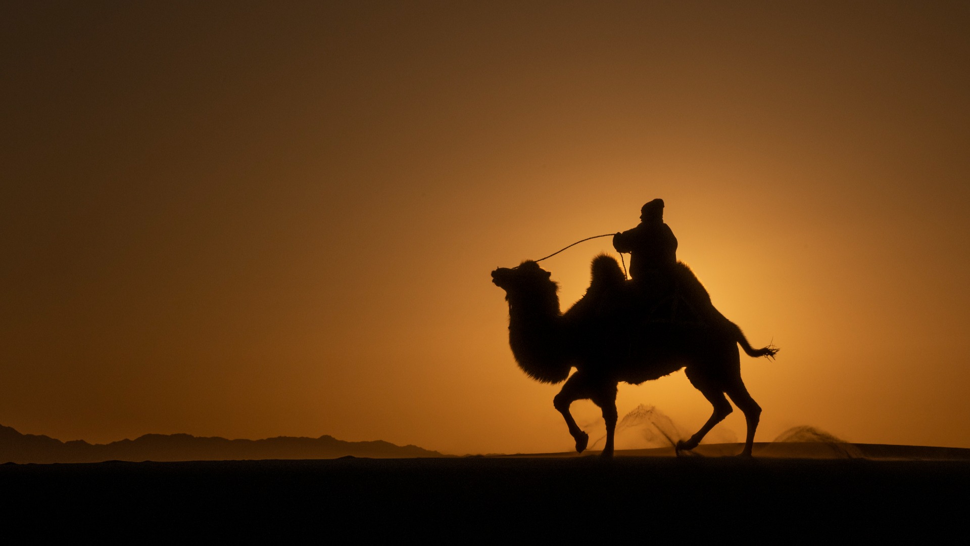 Mongolia Highlights tour | Premium Travel Mongolia
