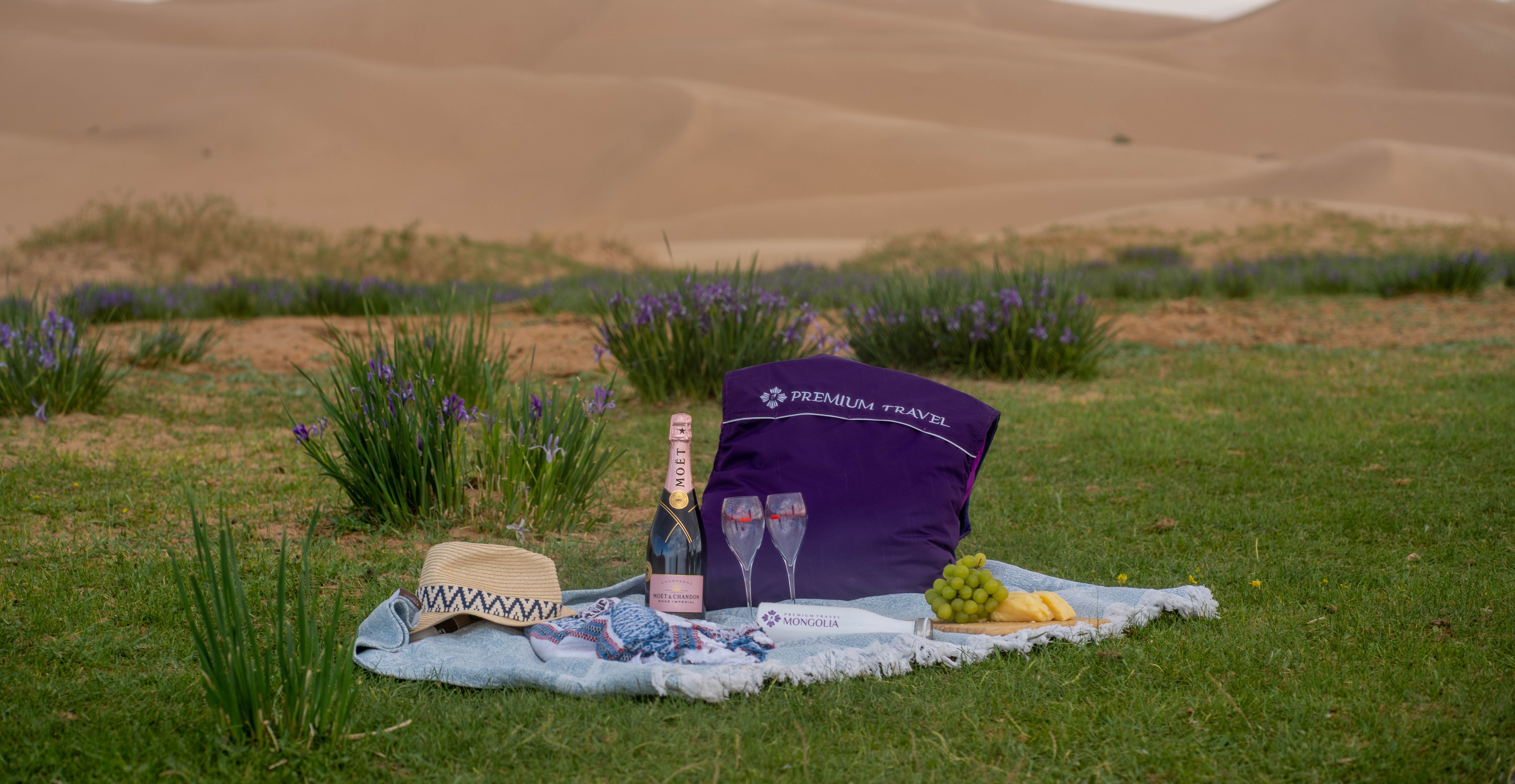 Terms & Conditions | Premium Travel Mongolia