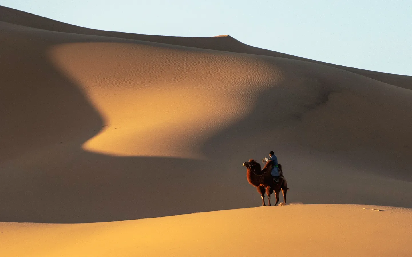 SIGNATURE TOURS | Premium Travel Mongolia