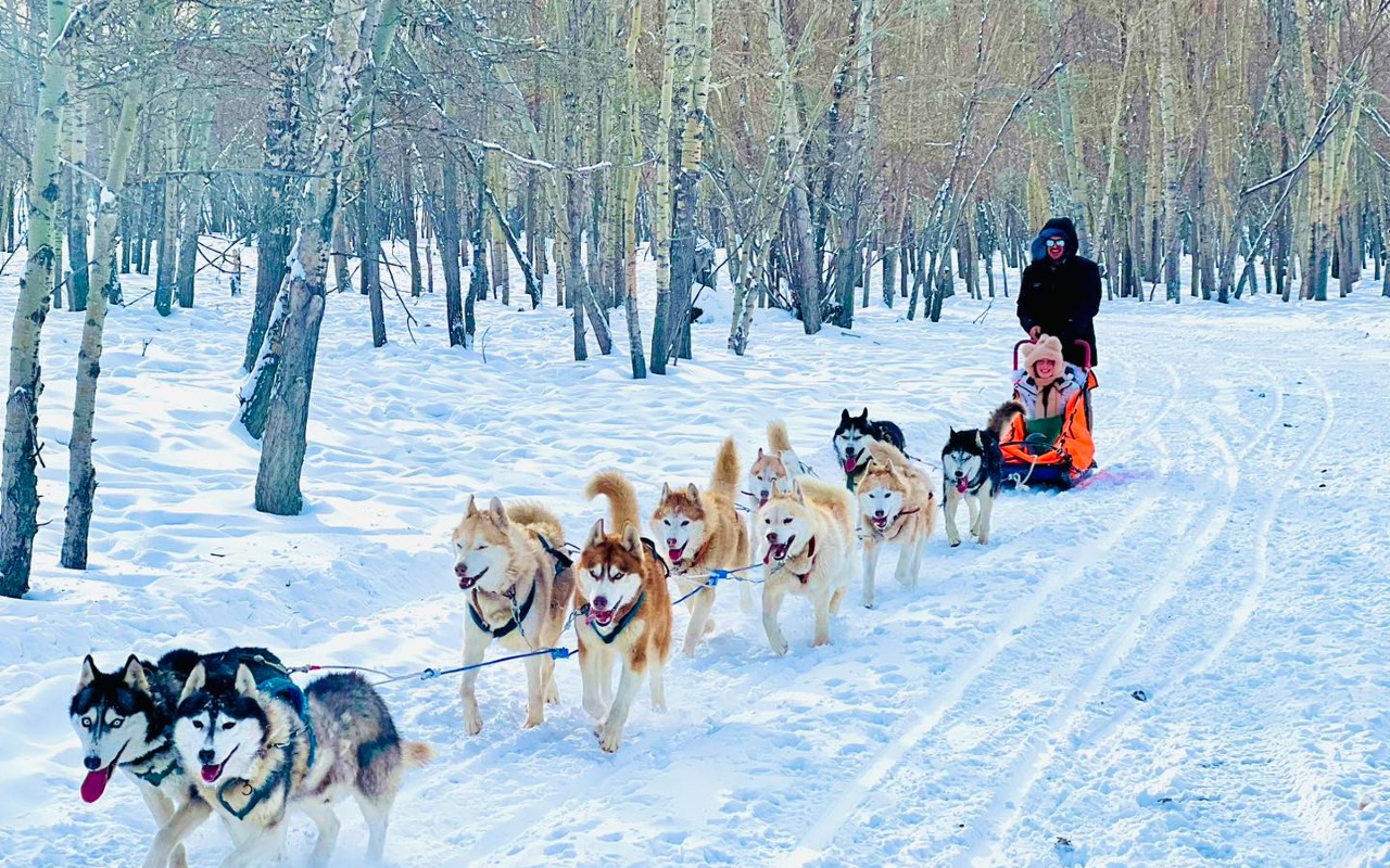 Discover the Magic on a Mongolian Winter Tour | Premium Travel Mongolia
