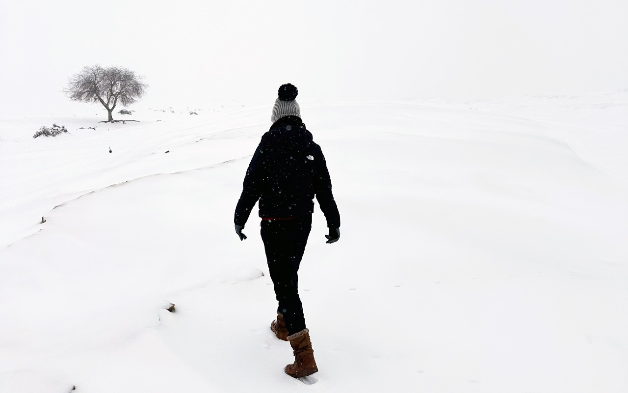 The Gobi Desert in its Frosted Silence | Premium Travel Mongolia